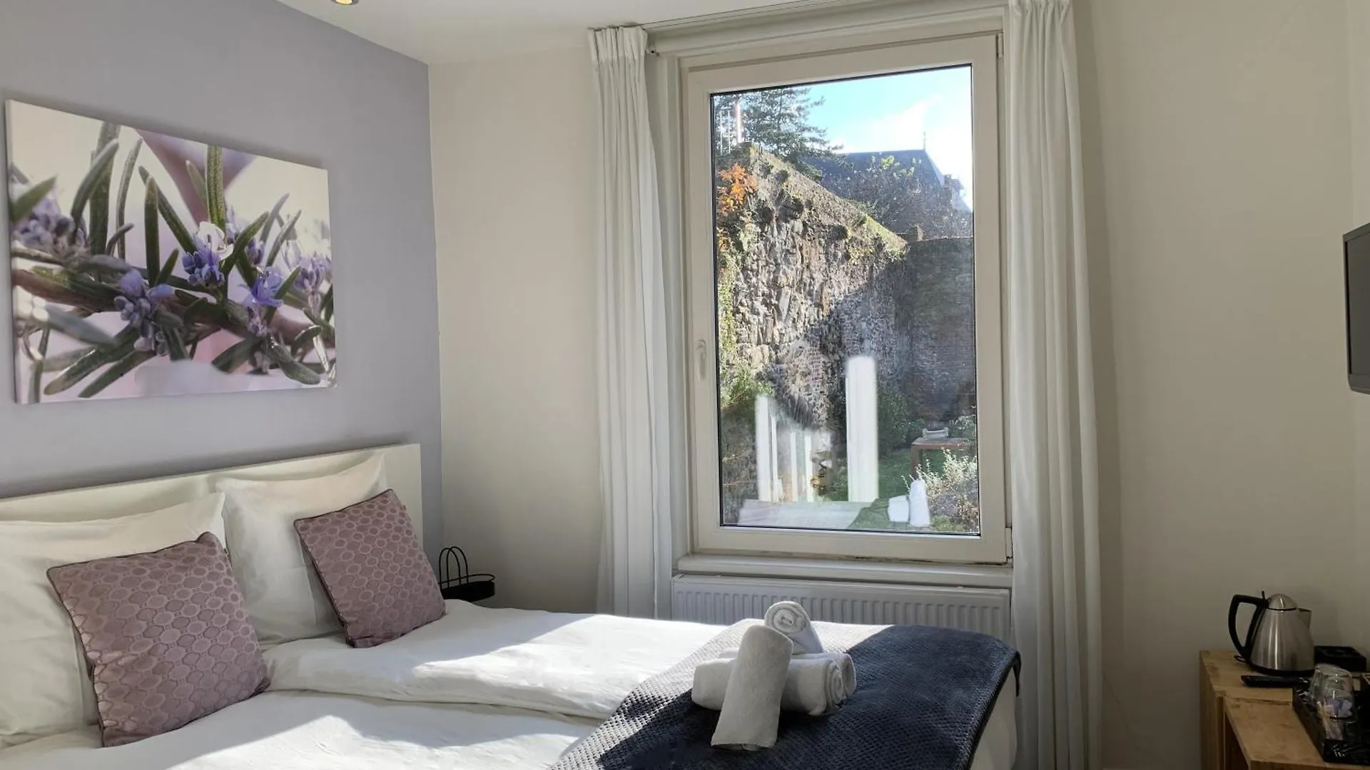 Bed & Breakfast De Stadswal Maastricht